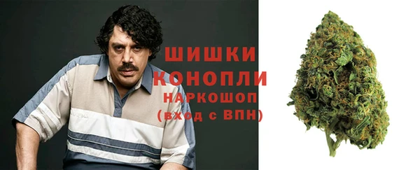 стаф Покровск