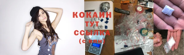 стаф Покровск