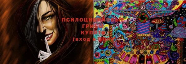 спиды Покачи