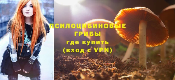 стаф Покровск